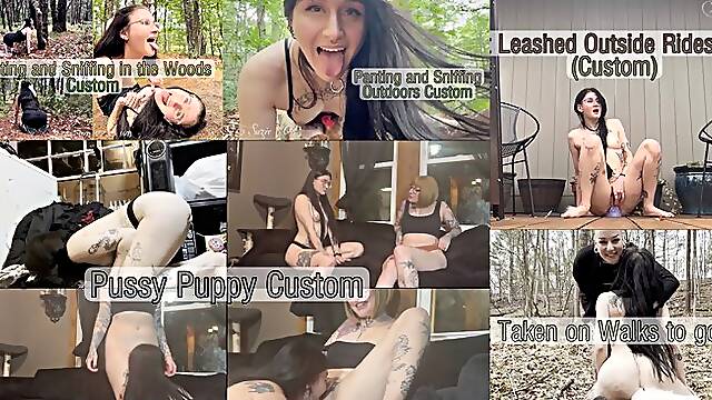 Pet Play Bundle 1